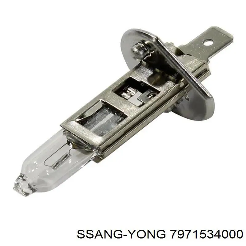  7971534000 Ssang Yong