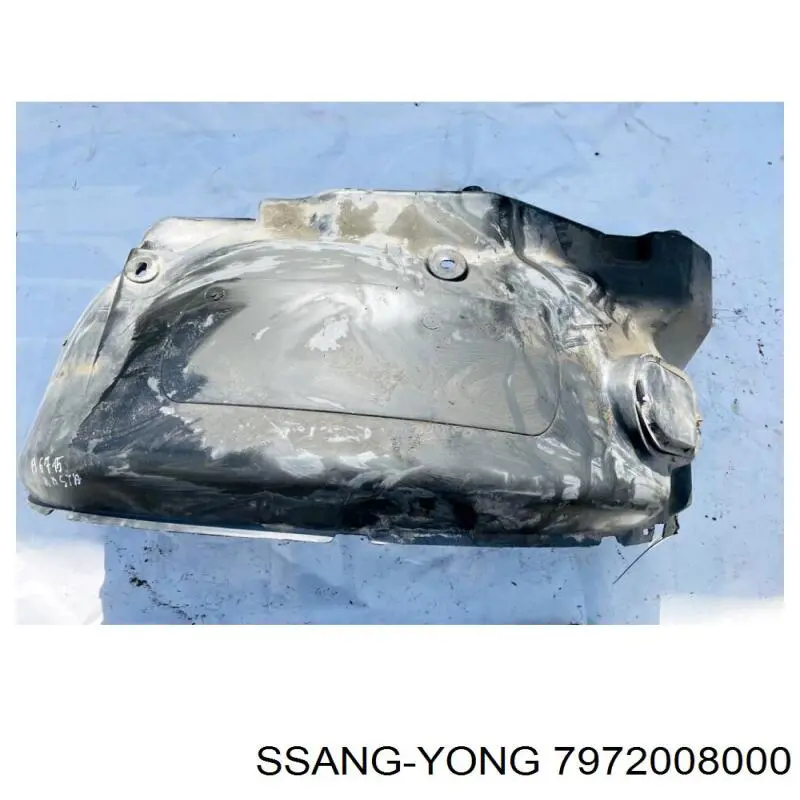 7972008000 Ssang Yong 