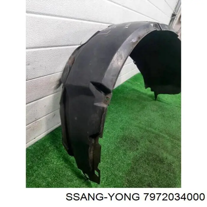 Правый подкрылок переднего крыла Ssang Yong 7972034001 цена, от 41.98 USD