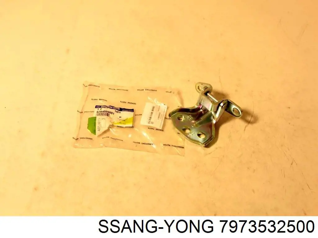 7973532500 Ssang Yong подкрылок крыла заднего левый