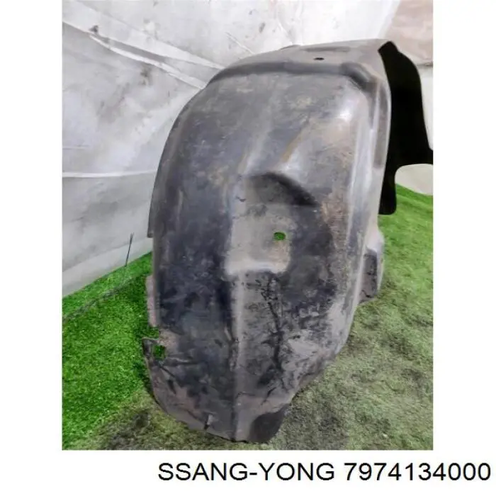 Купить 7974134000 Ssang Yong Подкрылок задний правый
