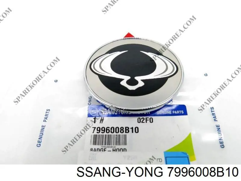 7996008B10 Ssang Yong