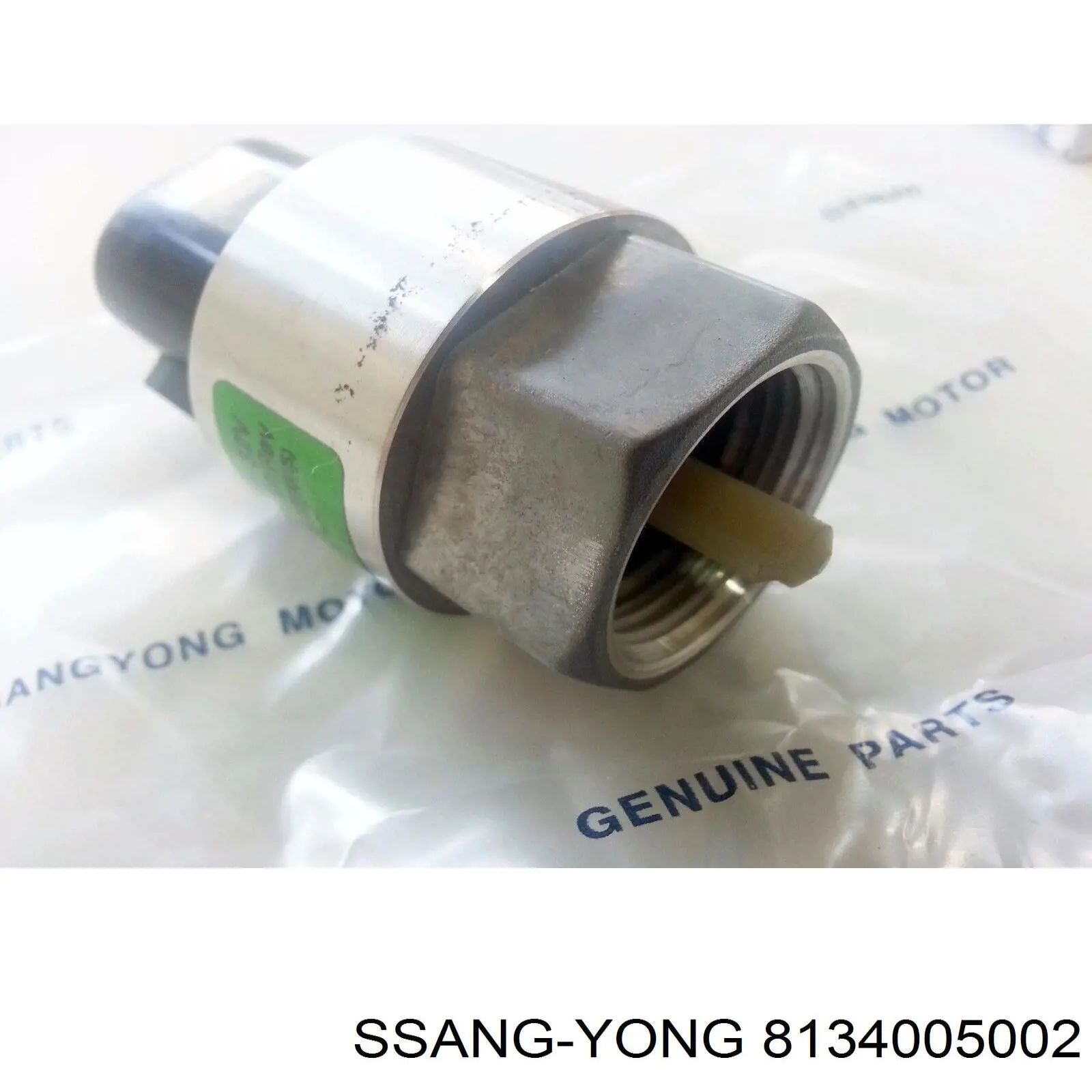 8134005002 Ssang Yong