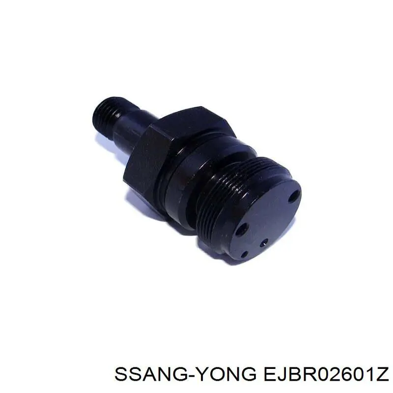 Топливные форсунки на SsangYong Rexton I RJ