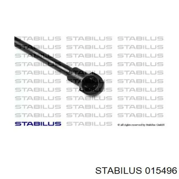 015496 Stabilus