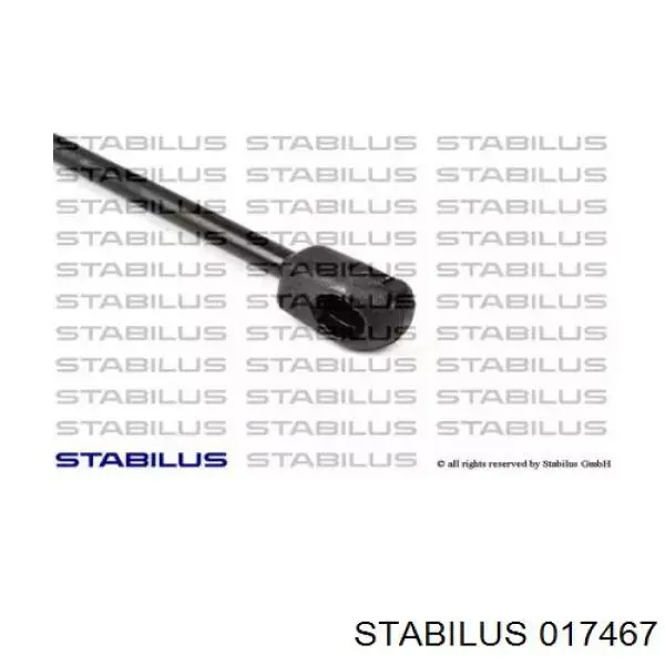 017467 Stabilus