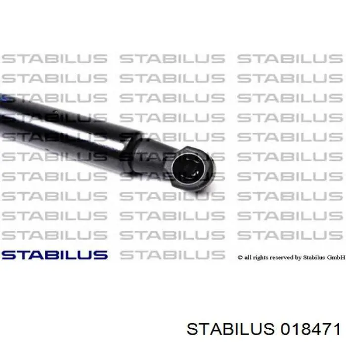 018471 Stabilus