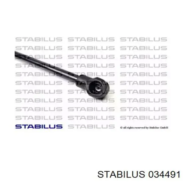 034491 Stabilus