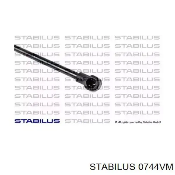 0744VM Stabilus