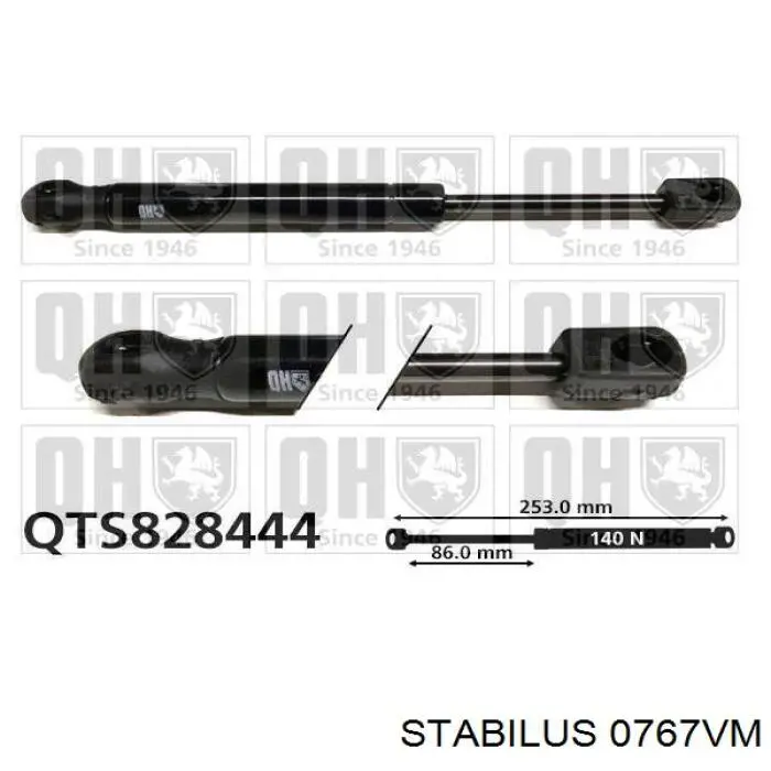 100955 Febi Амортизатор крышки багажника
