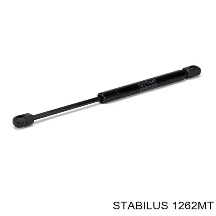 Амортизатор багажника 430719102500 Magneti Marelli