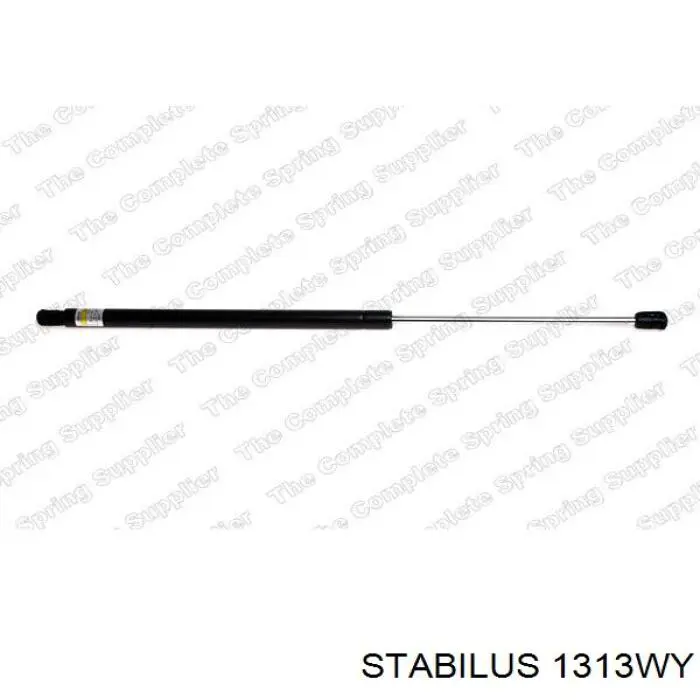 Амортизатор задней двери Maxgear 121596 цена, от 10.26 USD