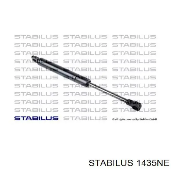  1435NE Stabilus