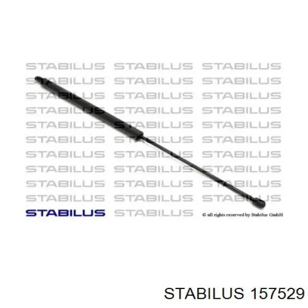  157529 Stabilus