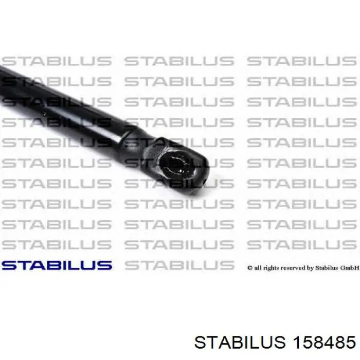 Амортизатор капота 654702253R Renault (RVI)