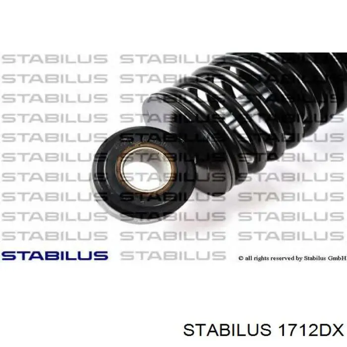 1712DX Stabilus