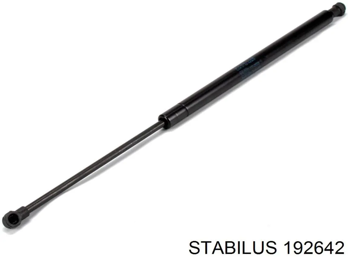 192642 Stabilus