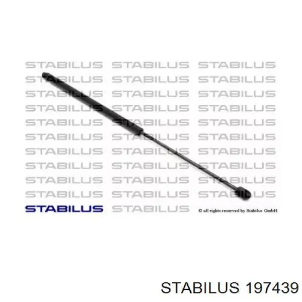 197439 Stabilus 