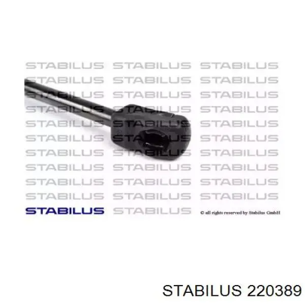 Амортизатор задней двери Stabilus 220389 цена, от 15.16 USD