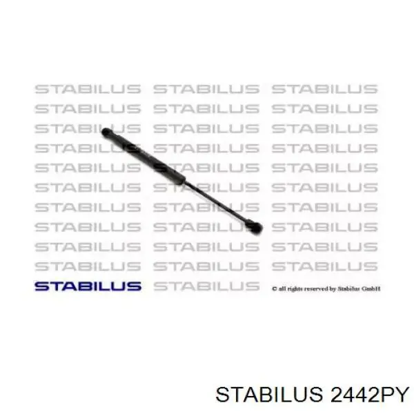 Амортизатор багажника 2442PY Stabilus