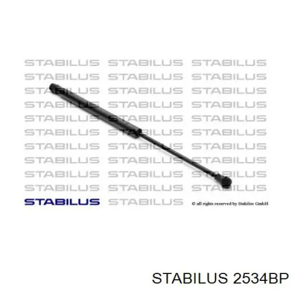  2534BP Stabilus