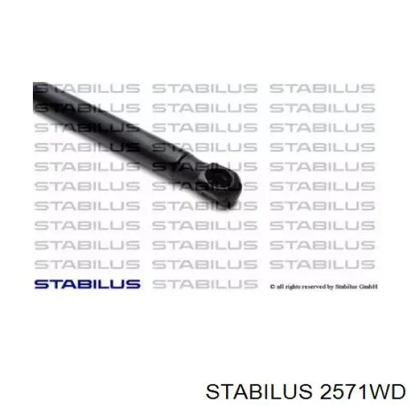  2571WD Stabilus