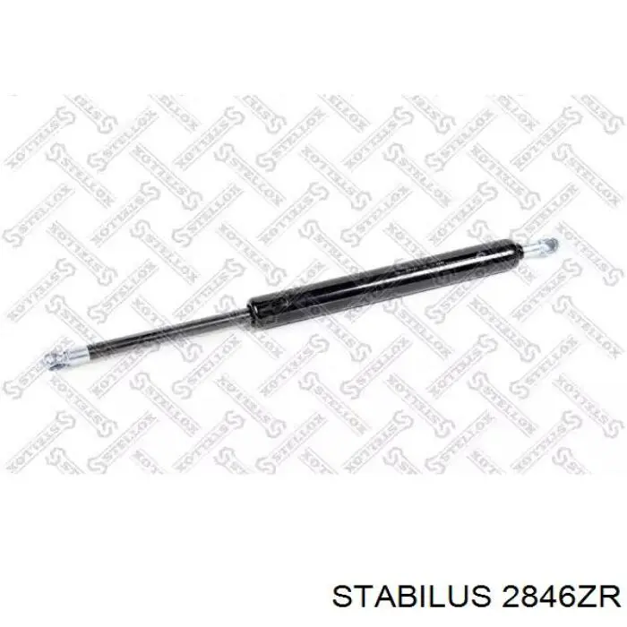 Амортизатор задней двери Stabilus 2846ZR цена, от 76.98 USD