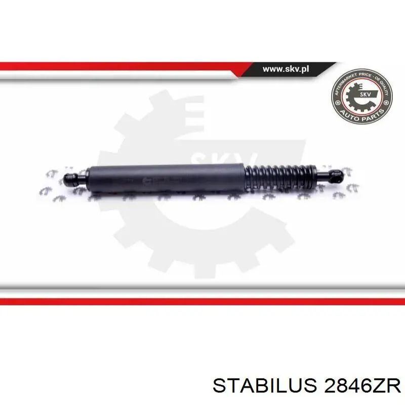 Купить 2846ZR Stabilus Амортизатор двери багажника