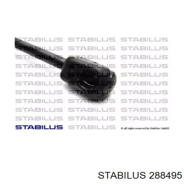 288495 Stabilus