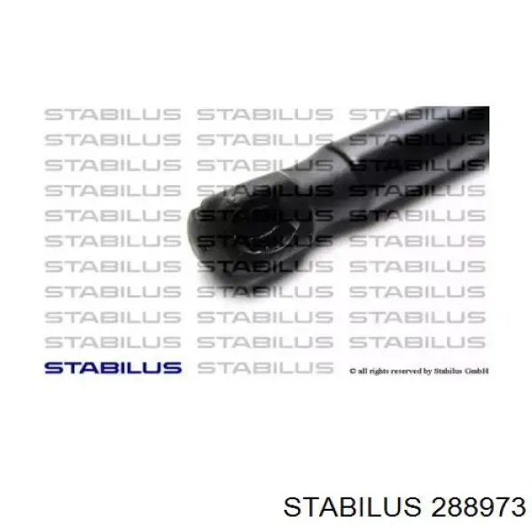 Амортизатор задней двери Stabilus 288973 цена, от 23.85 USD