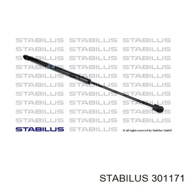 301171 Stabilus 