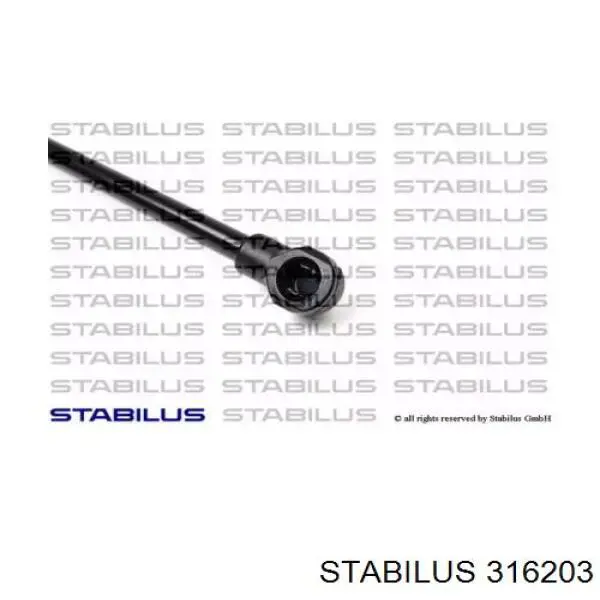 Купить 316203 Stabilus Амортизатор стекла багажника (двери 3/5-й задней (ляды)