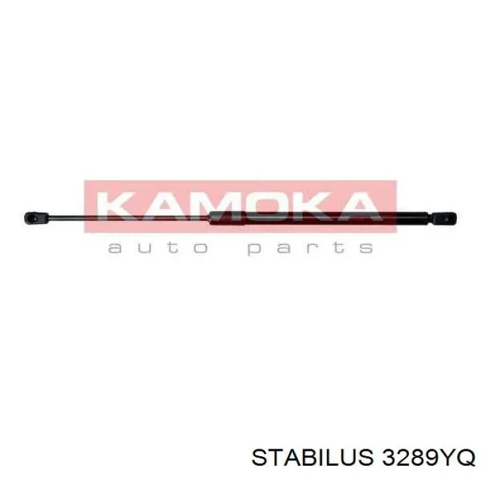 Купить 3289YQ Stabilus Амортизатор двери багажника