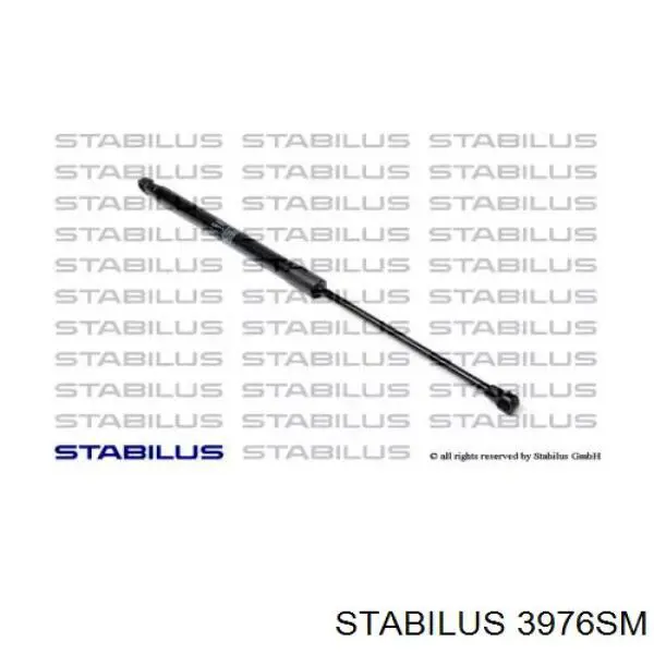 Амортизатор задней двери Magneti Marelli GS0214 цена, от 5.94 USD