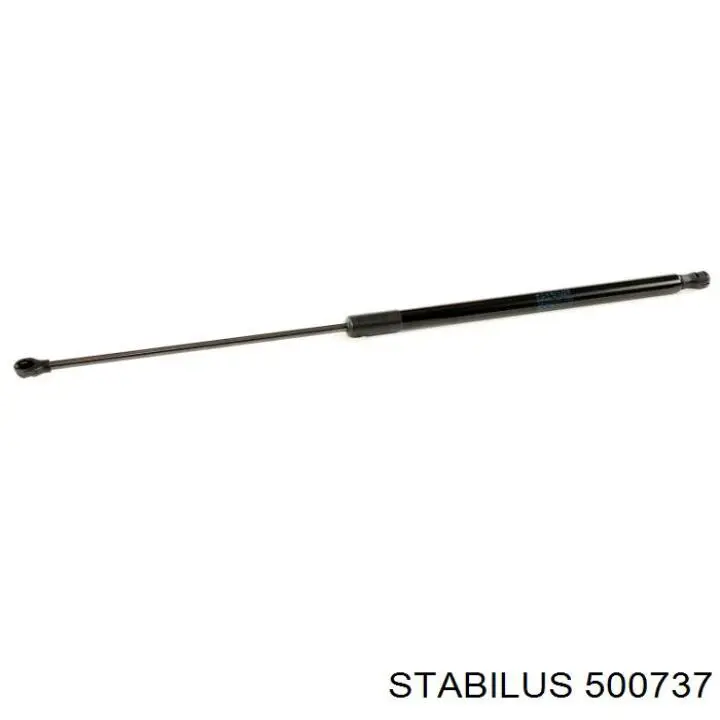  500737 Stabilus