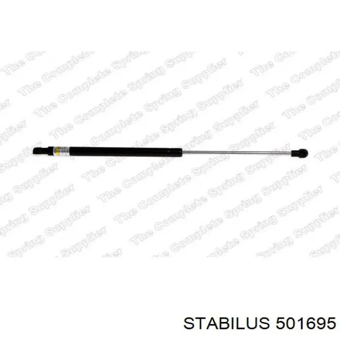ZSA06072 Ashika Амортизатор крышки багажника