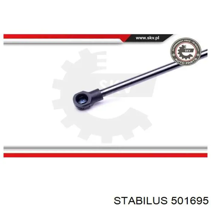 Амортизатор задней двери Ashika ZSA06072 цена, от 11.56 USD