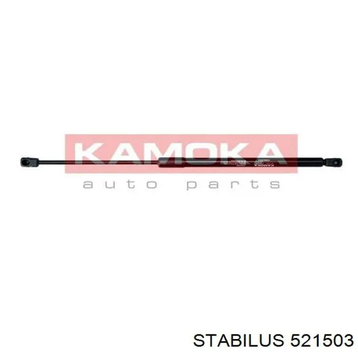 47081 Febi Амортизатор крышки багажника