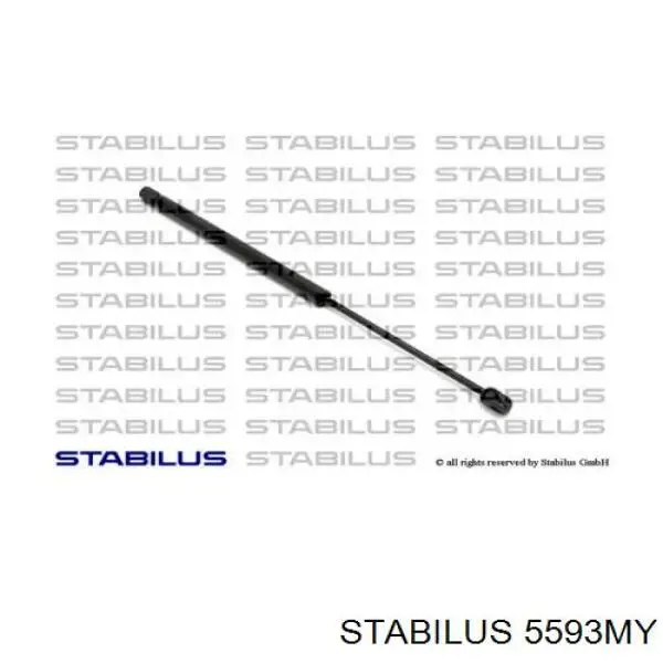 Амортизатор задней двери Stabilus 5593MY цена, от 6.46 USD