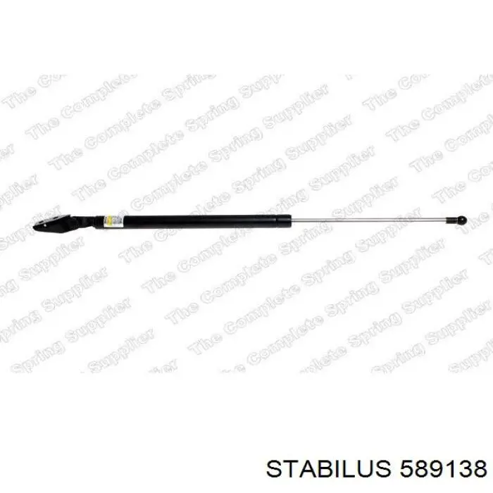  589138 Stabilus