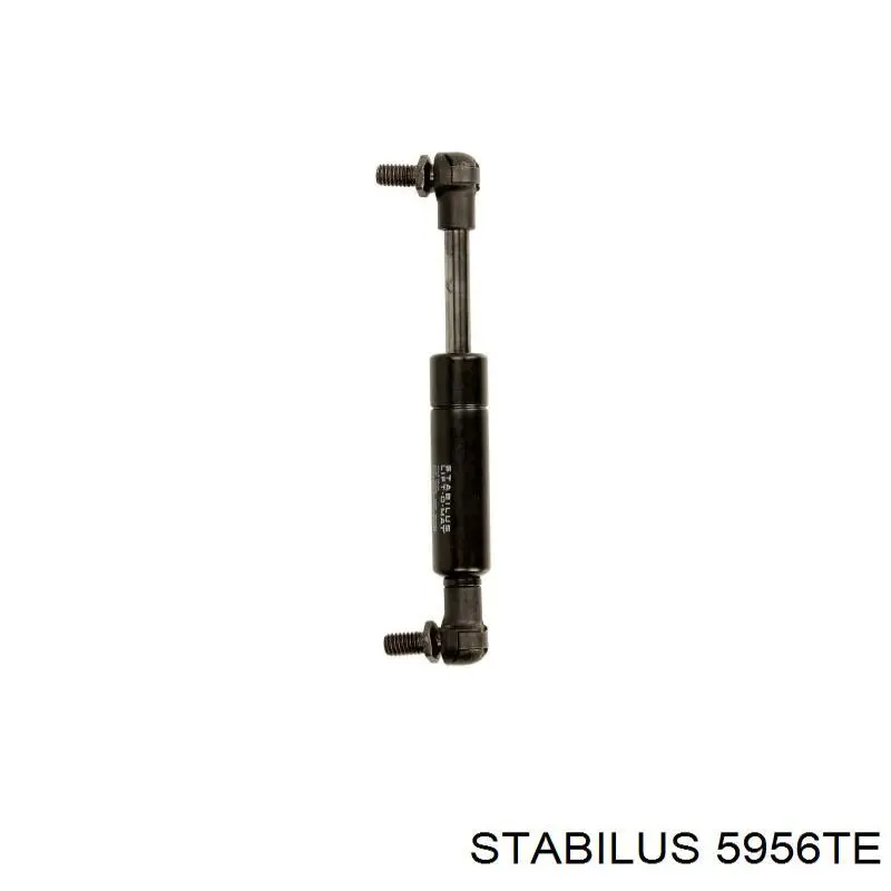 5956TE Stabilus 