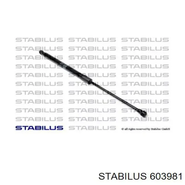Купить 603981 Stabilus Амортизатор под капот