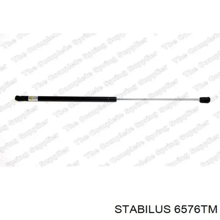 6576TM Stabilus