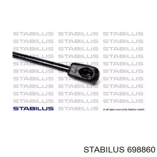 698860 Stabilus