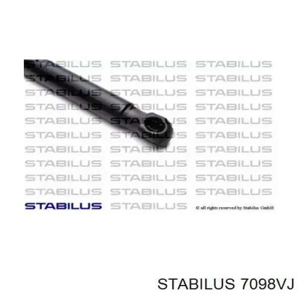 Амортизатор задней двери Stabilus 7098VJ цена, от 11.84 USD