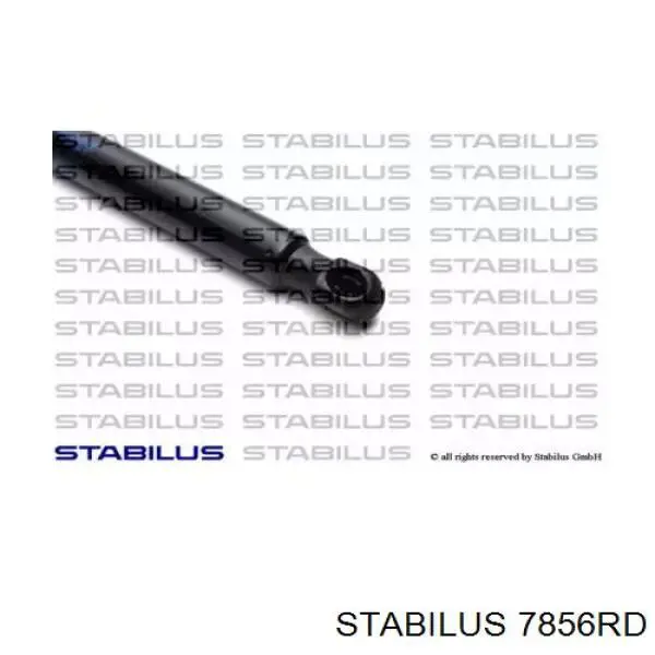 Амортизатор капота 7856RD Stabilus