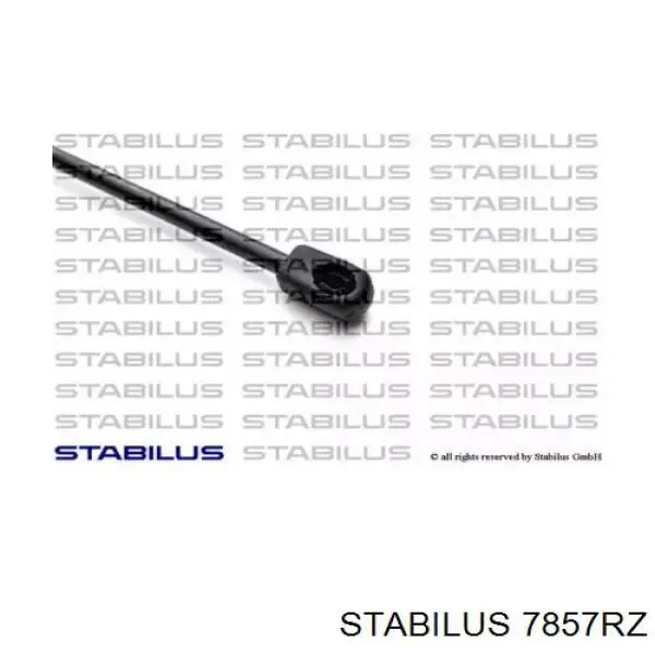 7857RZ Stabilus