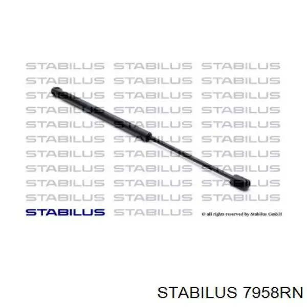 Амортизатор задней двери Stabilus 7958RN цена, от 12.07 USD