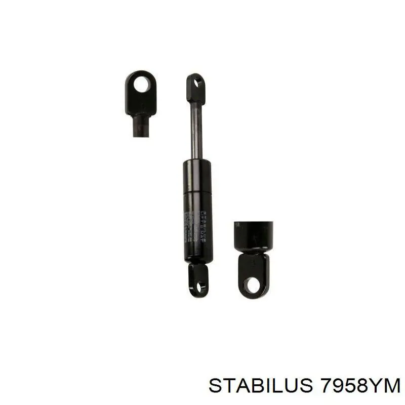 Купить STA7958YM Stabilus 