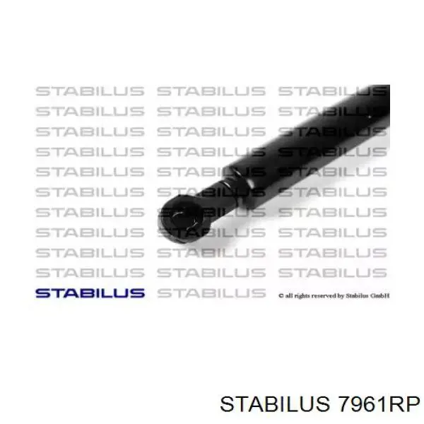 Амортизатор задней двери Stabilus 7961RP цена, от 12.85 USD